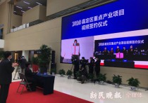 105个项目视频连线“云签约”！嘉定按下招商引资“快进键”