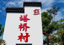 赏满园芳菲品“花好月园”来这个村逛逛